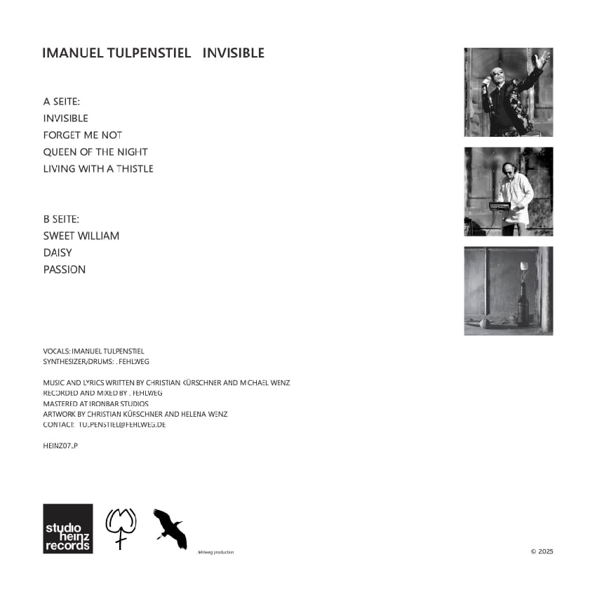 Imanuel Tulpenstiel ‎– Invisible (LP)