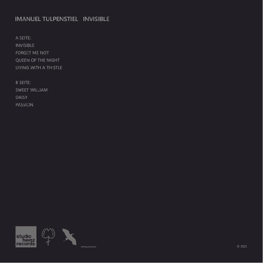 Imanuel Tulpenstiel ‎– Invisible (LP)