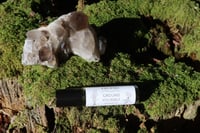 Image 1 of Ground Yourself Perfume Oil | Body Oil | Woody Blend | Non-toxic | Small batch | Handmade