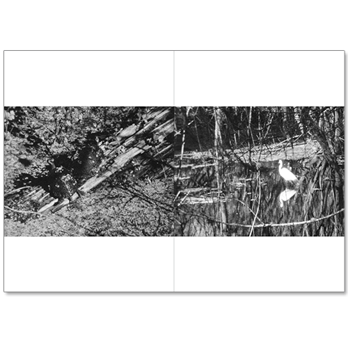 Image of Ivette Spradlin - Sunshine State