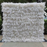 White Pampas Wall