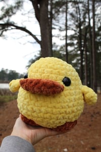 Image 2 of Chunky Duck 