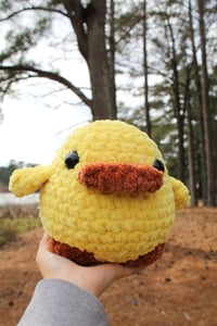 Image 1 of Chunky Duck 