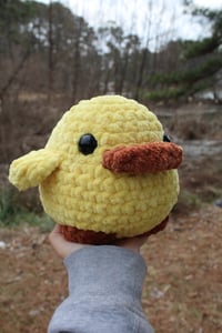 Image 3 of Chunky Duck 