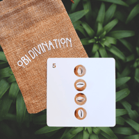 Image 4 of Obi Divination Flashcards