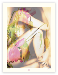 Image 1 of A MELANCHOLY MOOD (24X18)