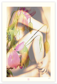 Image 1 of A MELANCHOLY MOOD (36X24)