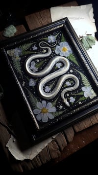 Image 5 of Snake Skeleton Wall Frame - Purple Flowers