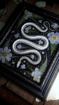 Image 3 of Snake Skeleton Wall Frame - Purple Flowers