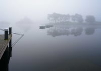 Mist bound exclusive print