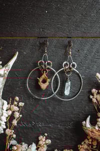 Image 1 of Bone and Stone