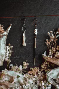Image 2 of Bone and Quill