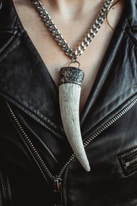Image 2 of Silver Capped Goat Horn necklace