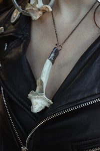 Image 3 of Silver Capped Deer Vertebra necklace 2