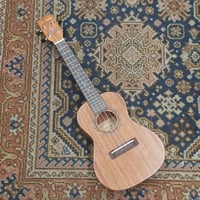 Image 1 of Alvarez Regent Series Mahogany Concert Ukulele