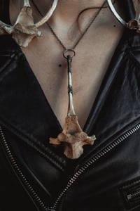 Image 5 of Silver Capped and Banded Vertebra necklace