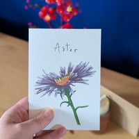 Image 2 of September birth month flower card