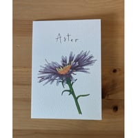 Image 4 of September birth month flower card