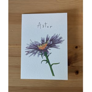 Image of September birth month flower card