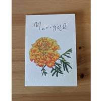 Image 4 of October birth month flower card