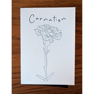 Image of Paint your own Carnation