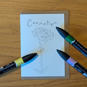 Image of Paint your own Carnation