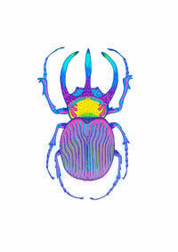 Image 1 of Besouro Colorido