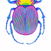 Image 3 of Besouro Colorido
