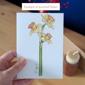 Image of Paint your own Daffodil