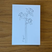 Image 2 of Paint your own Daffodil