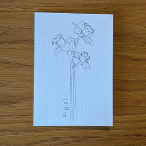 Image of Paint your own Daffodil
