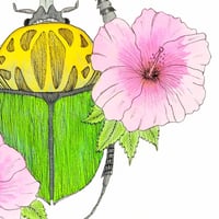 Image 3 of Besouro do Hibisco