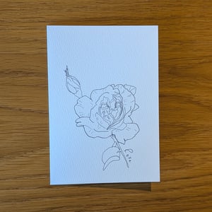 Image of Paint your own Rose