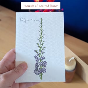 Image of Paint your own Delphinium