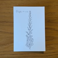 Image 2 of Paint your own Delphinium