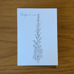 Image of Paint your own Delphinium