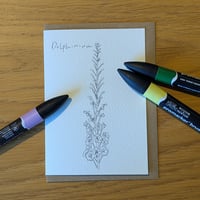 Image 3 of Paint your own Delphinium