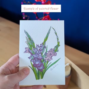 Image of Paint your own Gladiolus