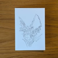 Image 3 of Paint your own Gladiolus