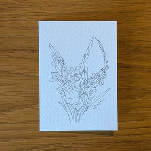 Image of Paint your own Gladiolus