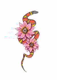Image 1 of Cobra Mandacaru Colorido
