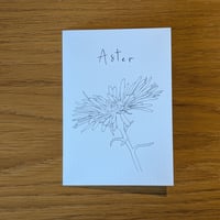 Image 2 of Paint your own Aster