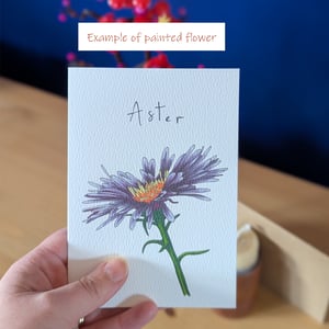 Image of Paint your own Aster