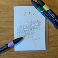 Image 3 of Paint your own Aster