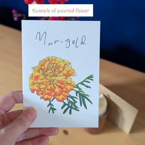 Image of Paint your own Marigold