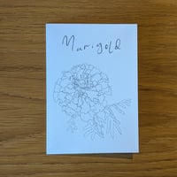 Image 2 of Paint your own Marigold