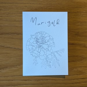 Image of Paint your own Marigold