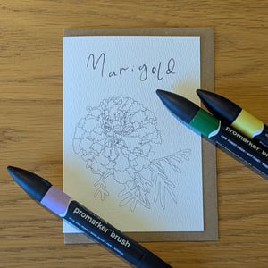 Image of Paint your own Marigold