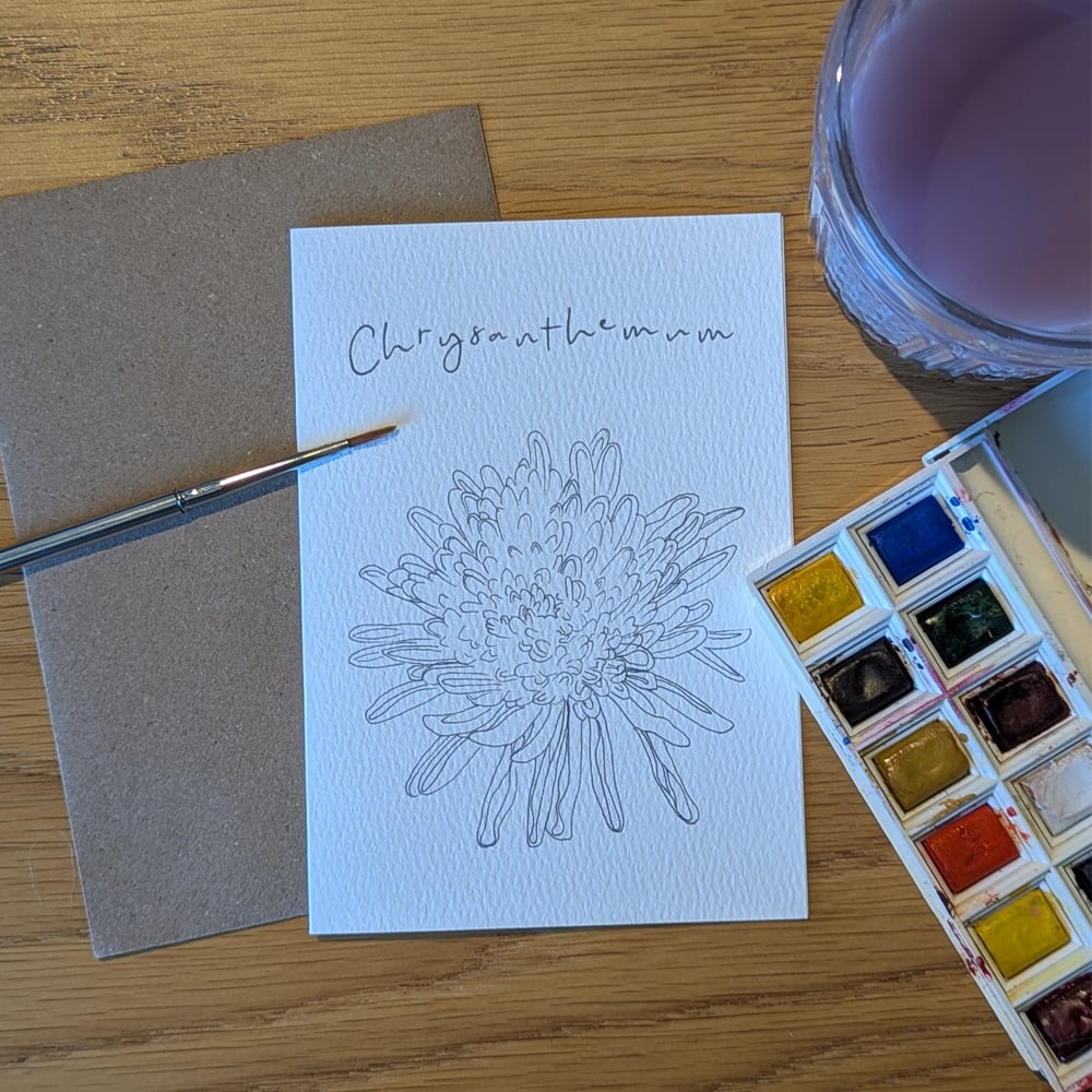 Image of Paint your own Chrysanthemum
