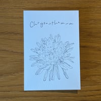 Image 3 of Paint your own Chrysanthemum